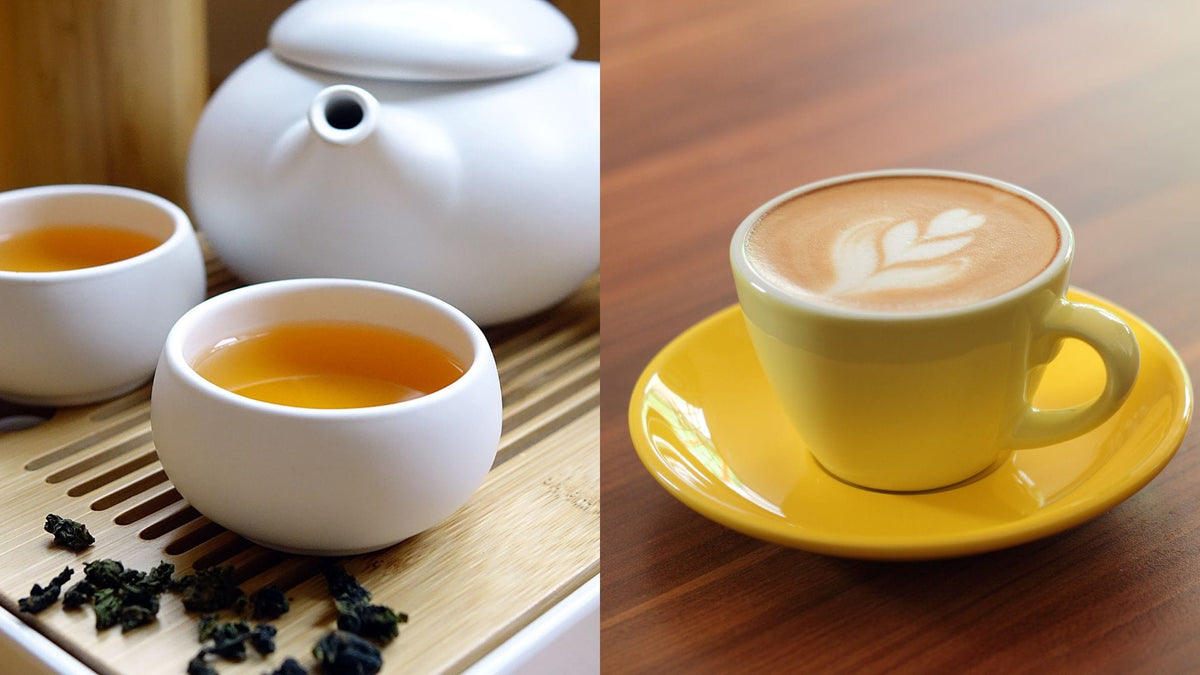 Oolong Tea Bag Caffeine vs. Coffee