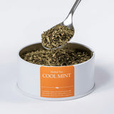 Cool Mint herbal loose leaf tea with a teaspoon